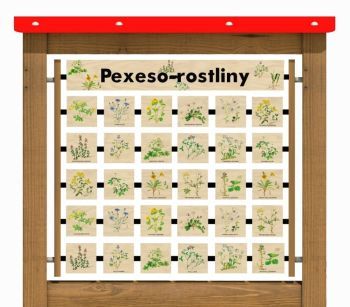 Edukační panel - Pexeso - Rostliny na stěnu