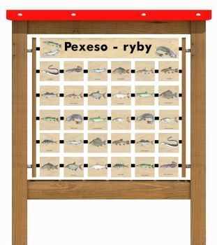 Edukační panel - Pexeso - Ryby 160
