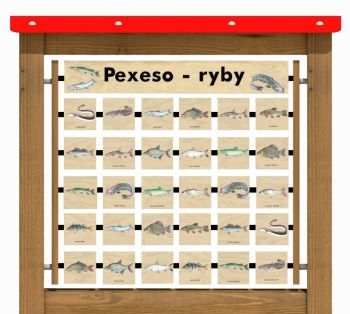Edukační panel - Pexeso - Ryby na stěnu