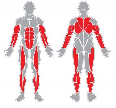 Fitness stroj - Jezdecký trenažer