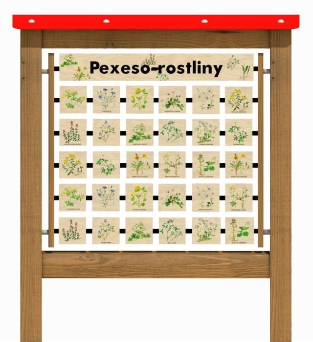 Edukační panel - Pexeso - Rostliny 160