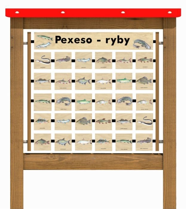 Edukační panel - Pexeso - Ryby 160