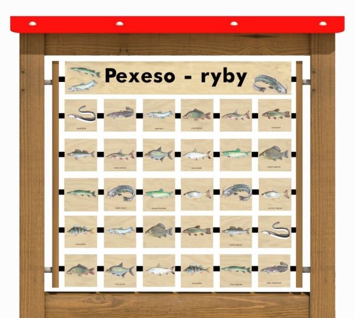 Edukační panel - Pexeso - Ryby na stěnu